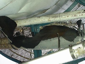 Flare Pipe Leak On A Butadiene Worshop Reboiler