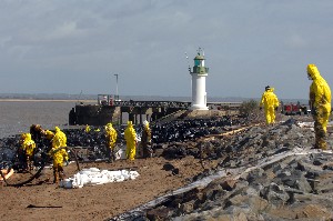 Oil Spill In An Estuary During A Transfer Operation